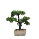 EVA 5660 YILDIZ ÇİÇEÄİ SAKSILI