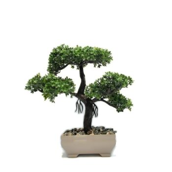 EVA 5660 YILDIZ ÇİÇEÄİ SAKSILI