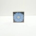 MAXİMUM PAPATYA 2Lİ MUM