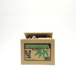 EREN HIRSIZ KUMBARA BAMBOO PANDA