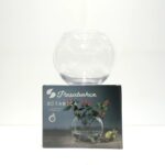 29275 BOTANICA FANUS