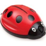 F093 UGUR BOCEGI CIFTLI GIRGIR