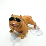 POLKPK4811 KÖPEK KASLI GÖZLÜKLÜ