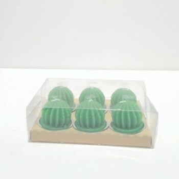 NUR MUM X655 6LI KAKTUS MUM