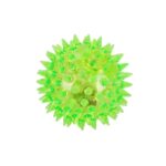 DIKENLI ISIKLI TOP OLGUN