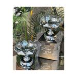 SAHANE SDH-1481B METAL AYAK CAM SEKERLİK